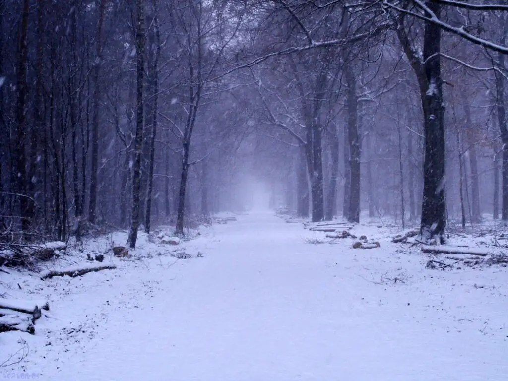 Stopping by Woods on a Snowy Evening by Robert Frost. Analysis.