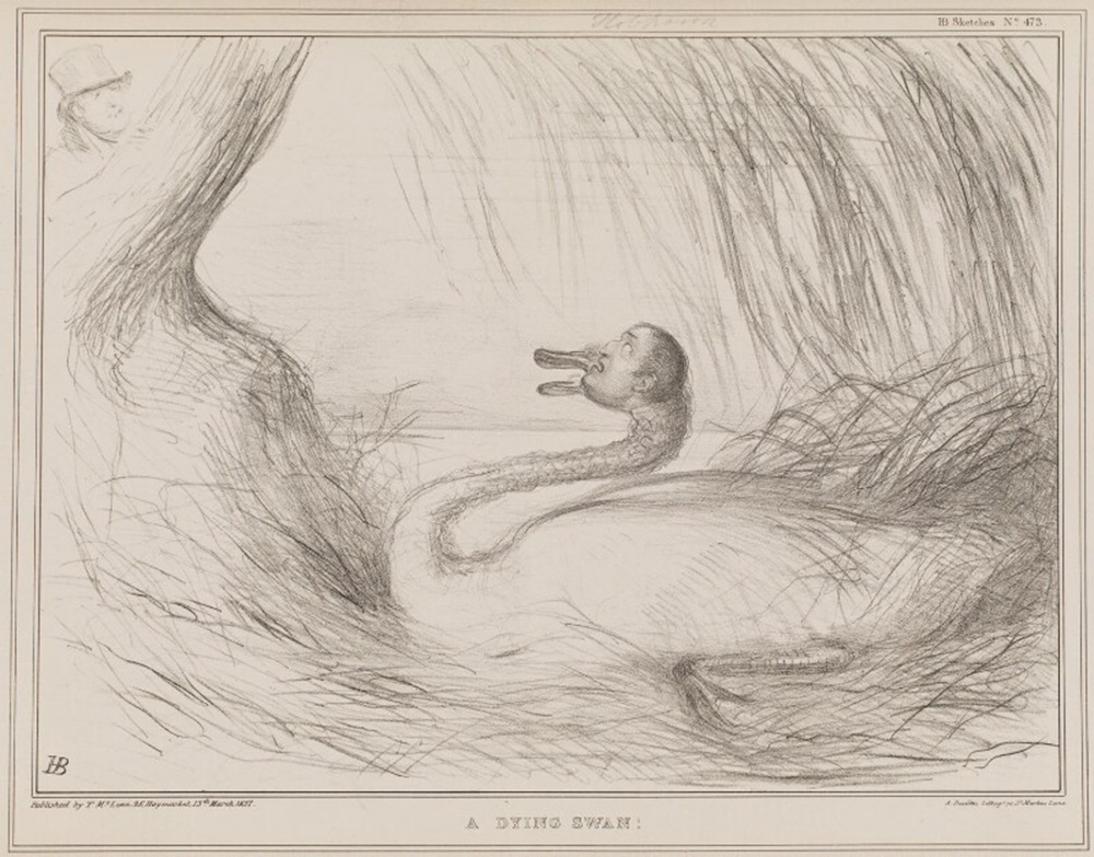 ‘A Dying Swan,’ by John Doyle