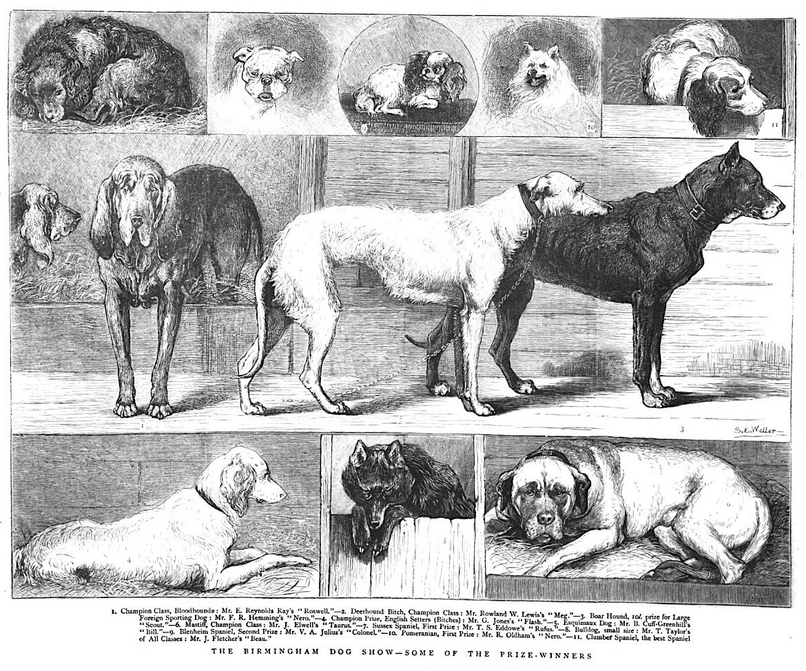 [A Review of] Michael Worboys', JulieMarie Strange's and Neil