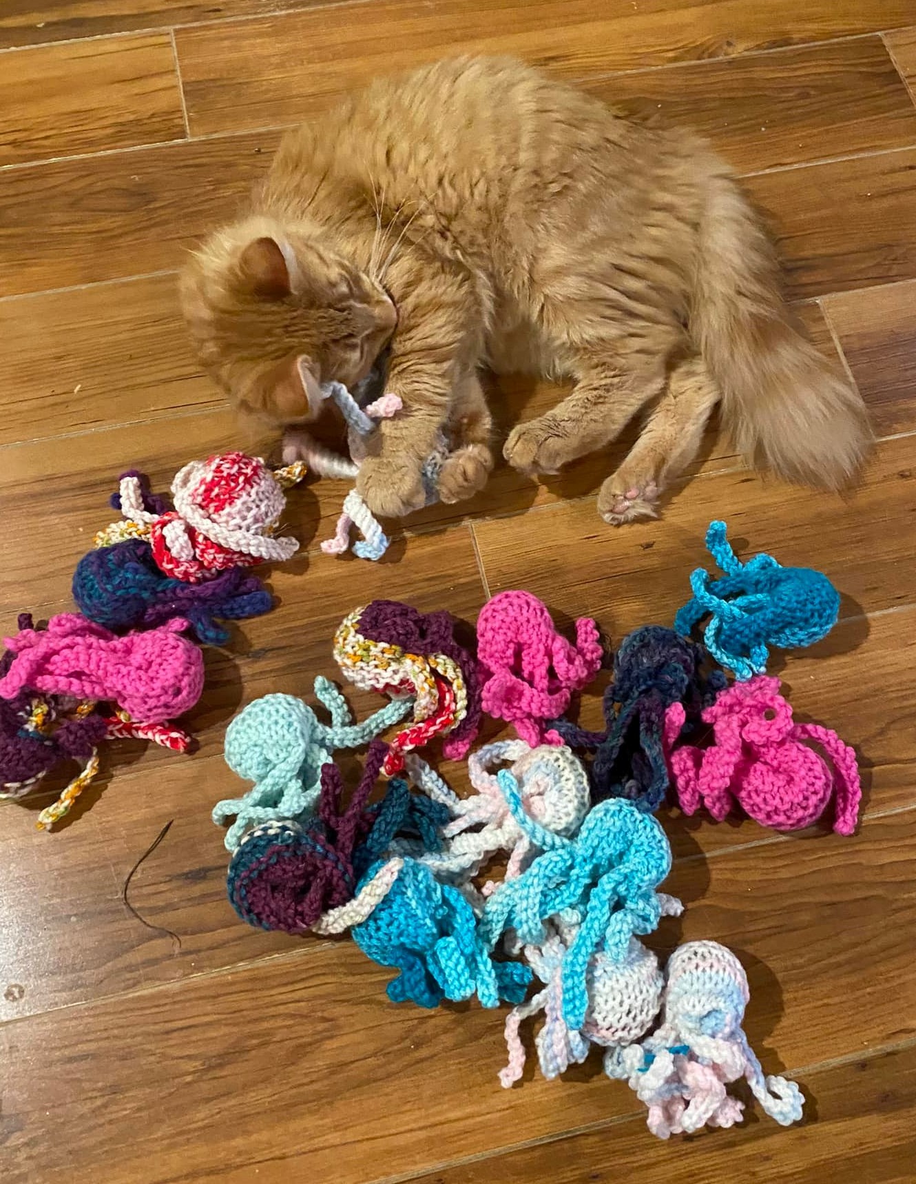 Victoria Pet Adoption Society