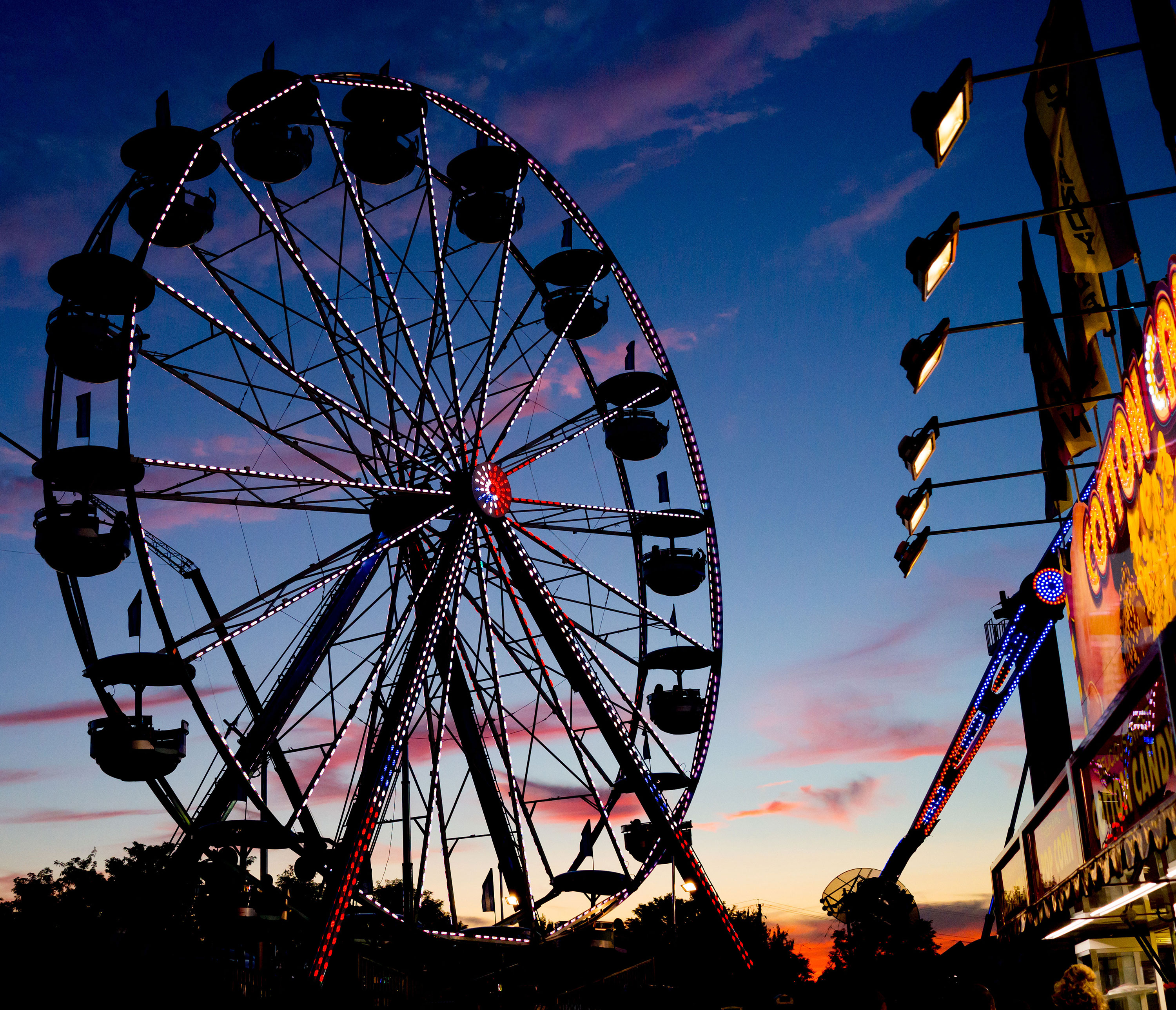 Montgomery County Fair 2015 Victoria Pickering