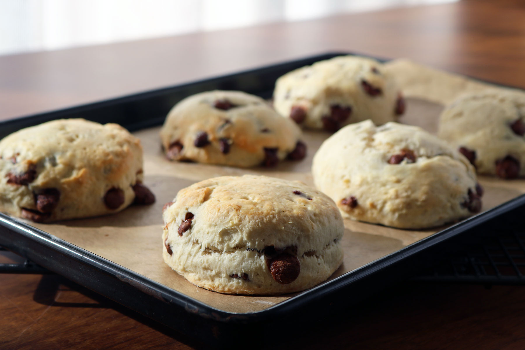 Milk Chocolate Chip Vanilla Scones
