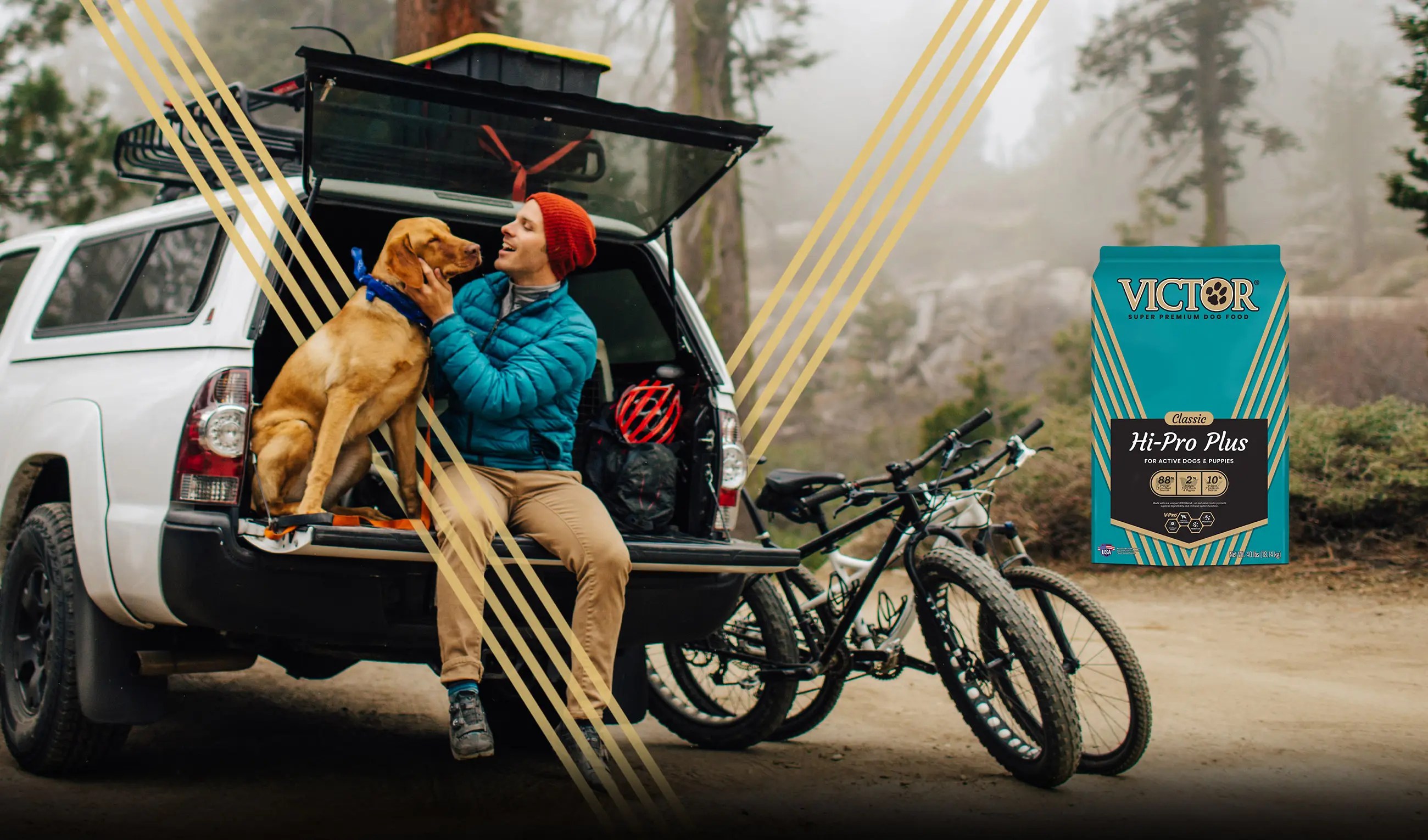 Super Premium Pet Food Dog and Cat Food Victor Pet Food