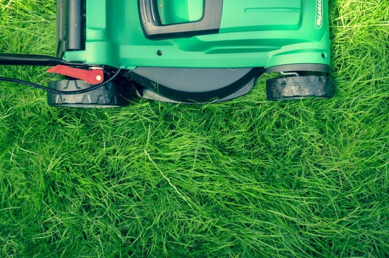 What Month Should You Start Mowing Your Lawn? Victory Lawnscape