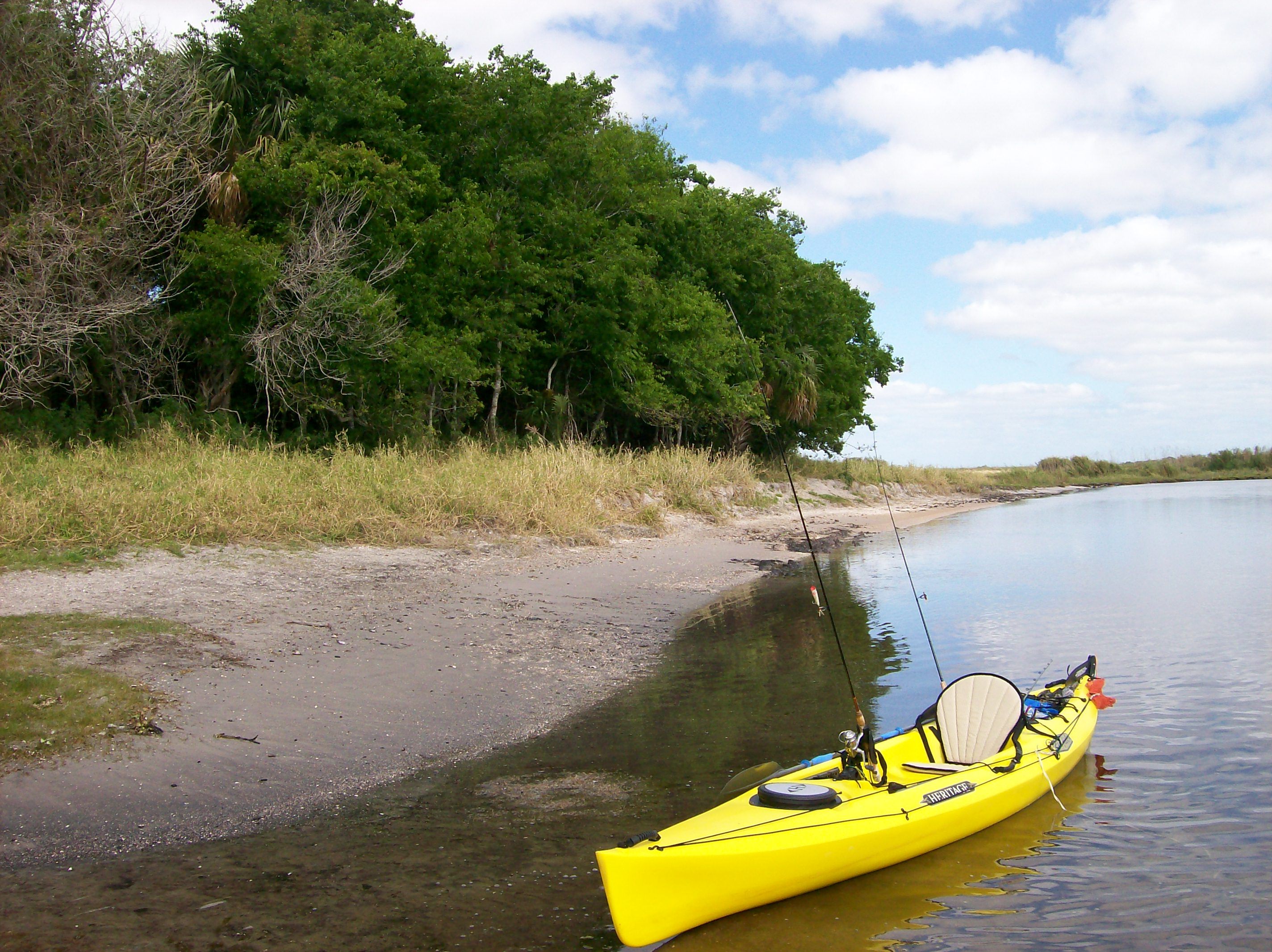 Paddling Through Florida’s Stunning Scenery On The St Johns River