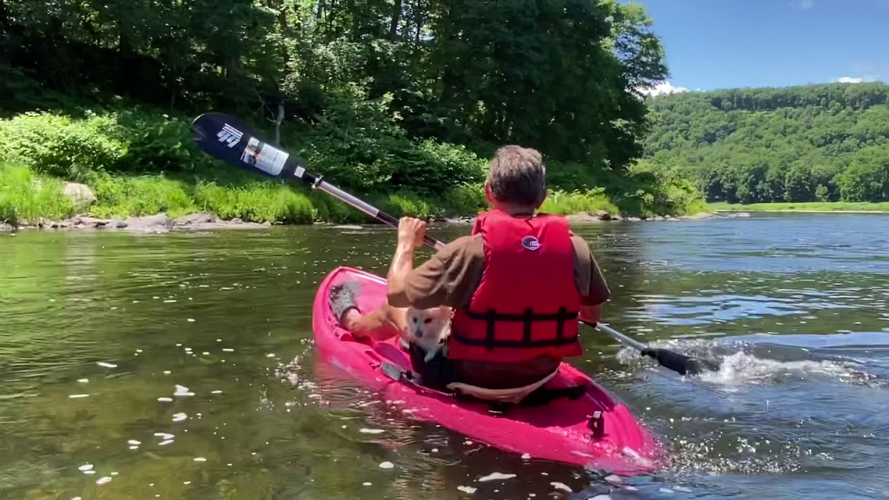Canoeing The Delaware River Tips For A Great Trip Rapids Riders Sports