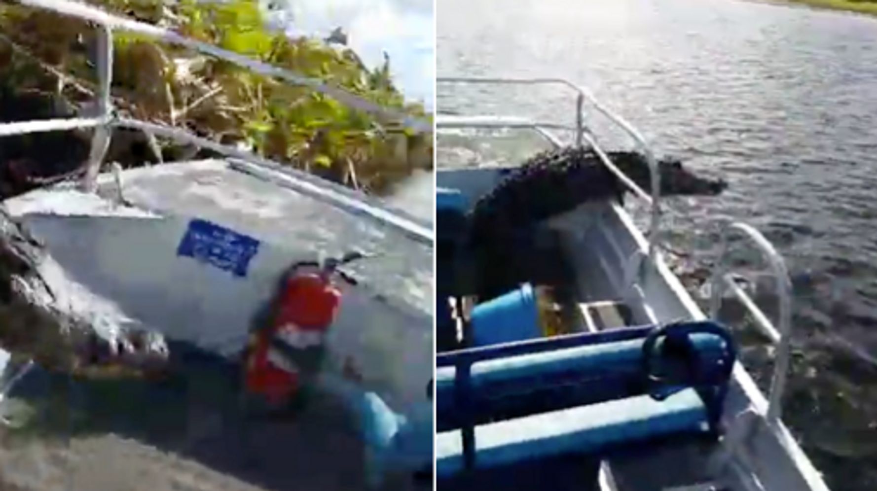 Is It Safe To Canoe With Alligators Rapids Riders Sports