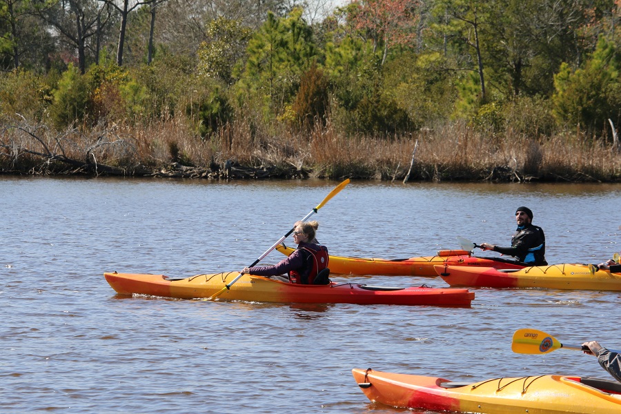 The Best Canoeing Spots In Jacksonville Florida Rapids Riders Sports