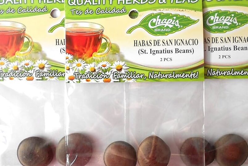 Haba de San Ignacio planta todo lo que debes saber ︎
