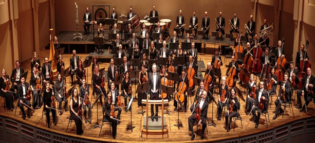 Symphony In The Musical Instruments