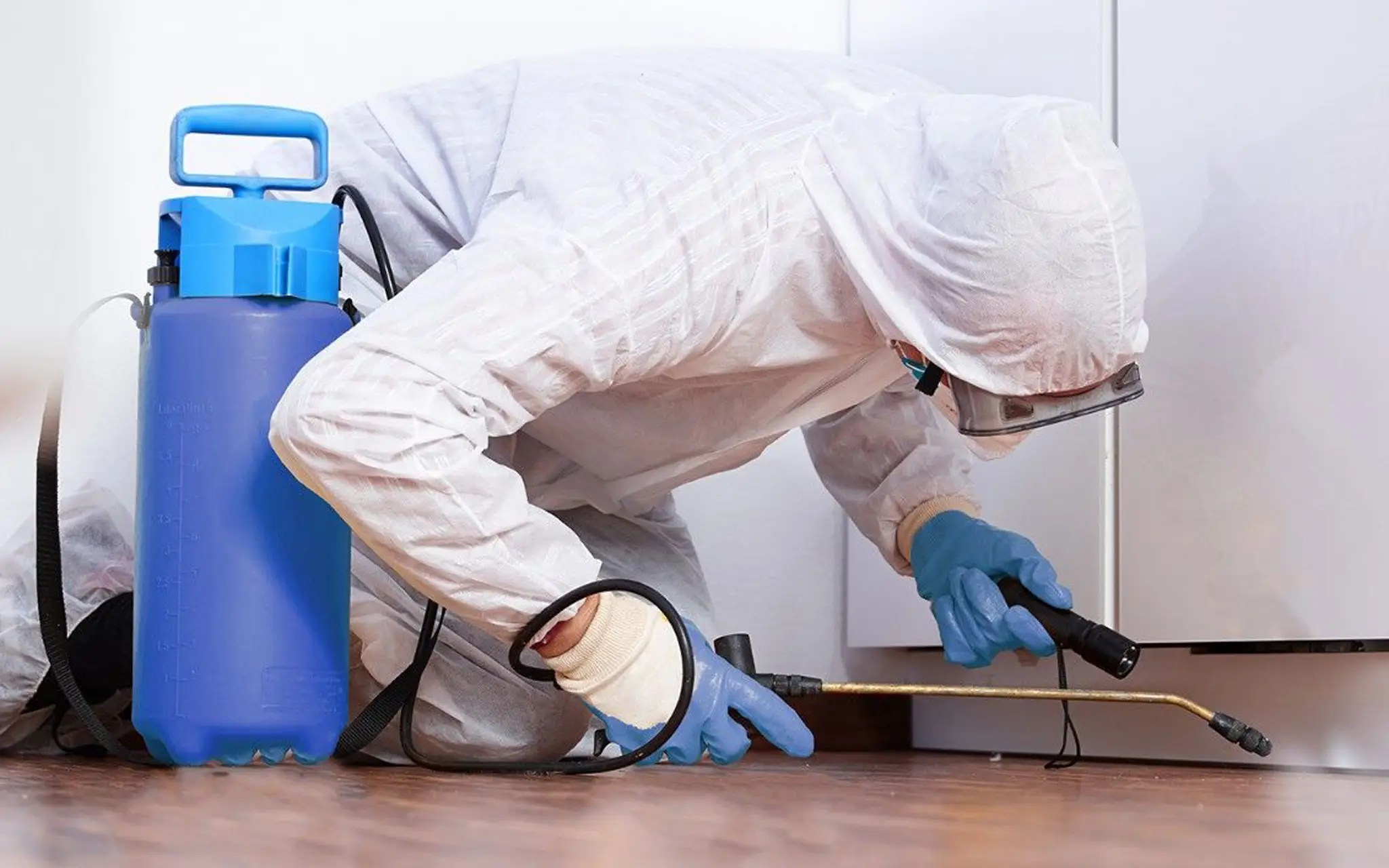 Désinfection Vidange La Rose