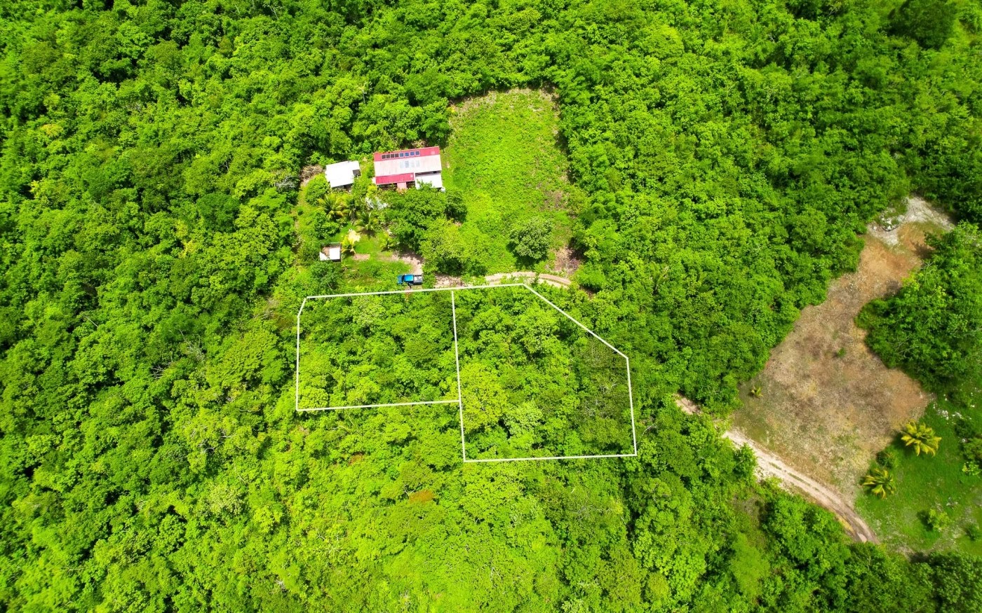 Types of Land Titles Belize Your Guide to Ownership » Vida & Co. Ltd