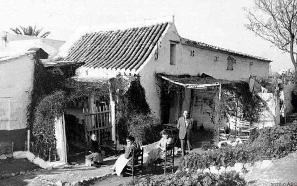 Curiosidades de la venta de gatos Becquer