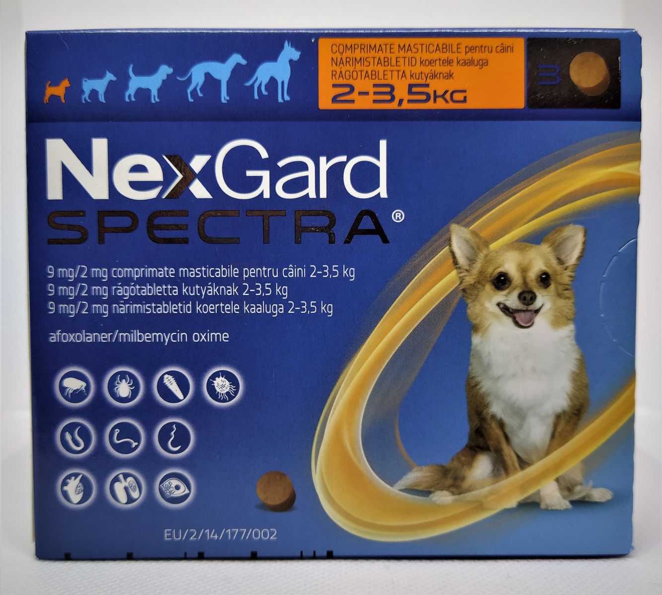 Kutya, macska VidaVet Kft.