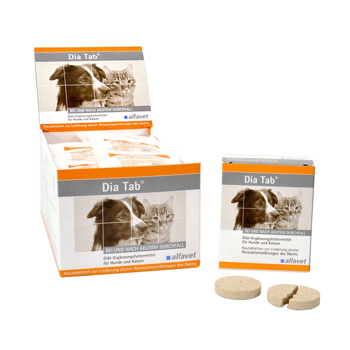 Kutya, macska VidaVet Kft.