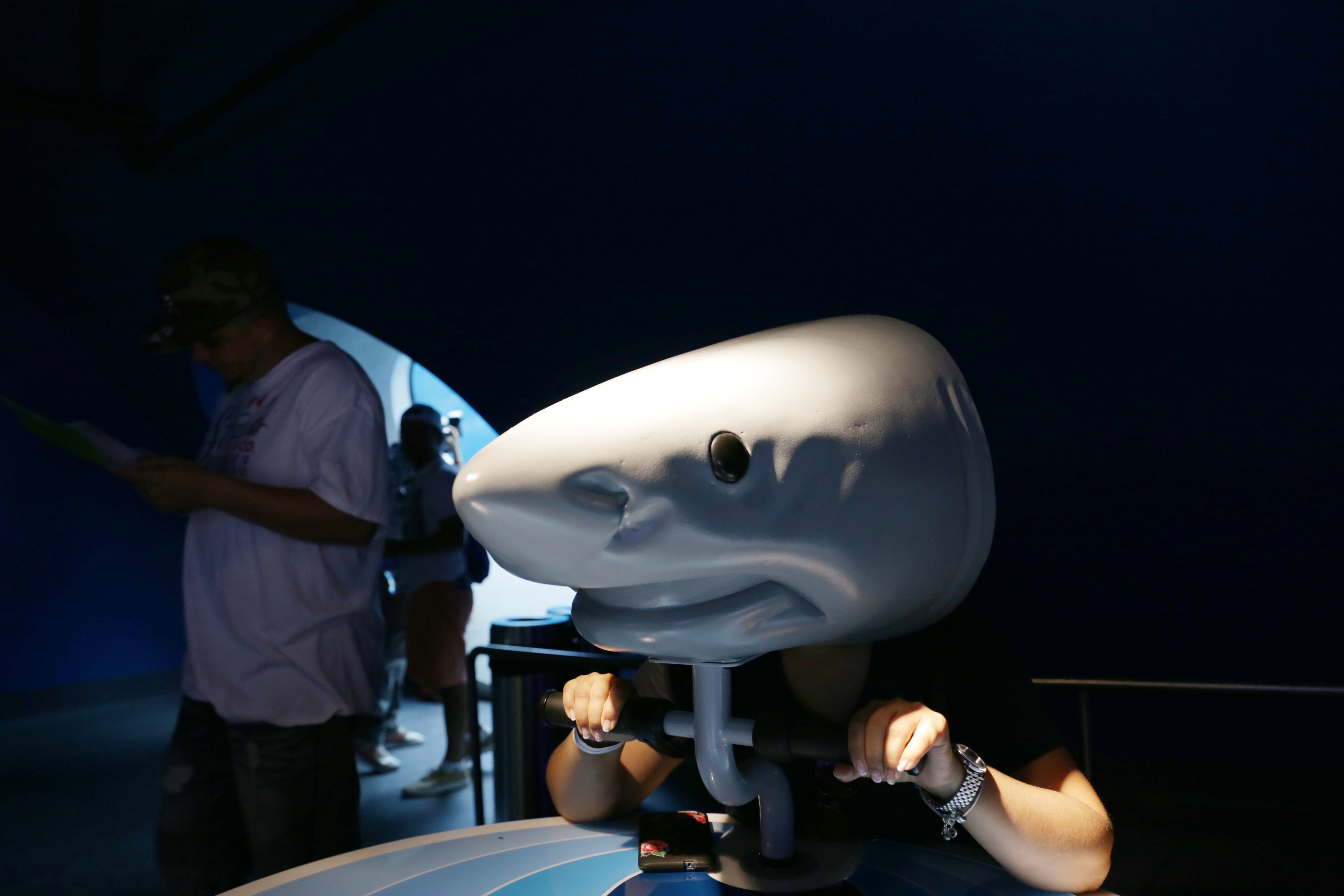 Miami’s Sprawling Frost Science Museum Is Finally Open Creators