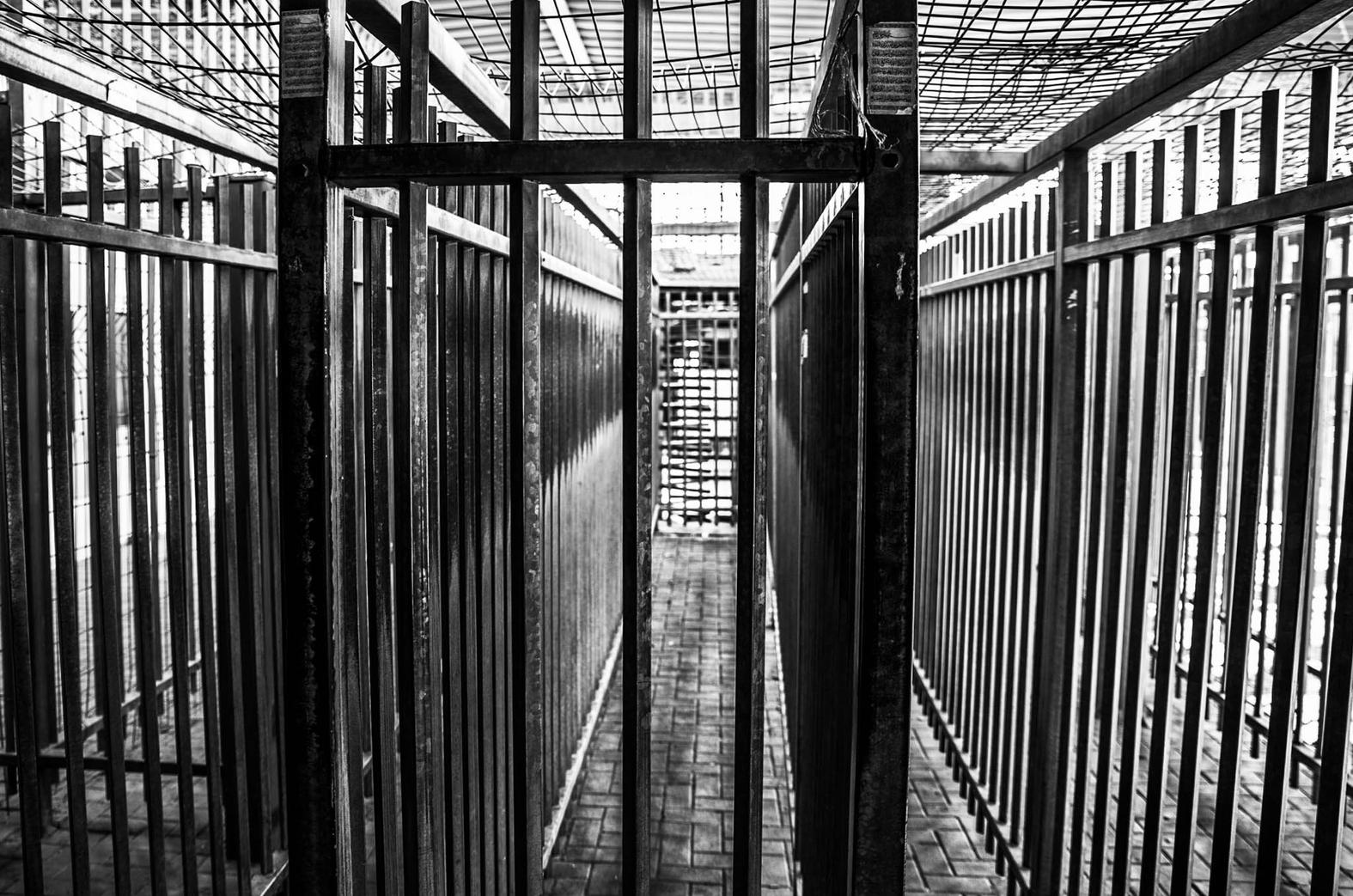 Voices From Either Side of the West Bank Wall VICE