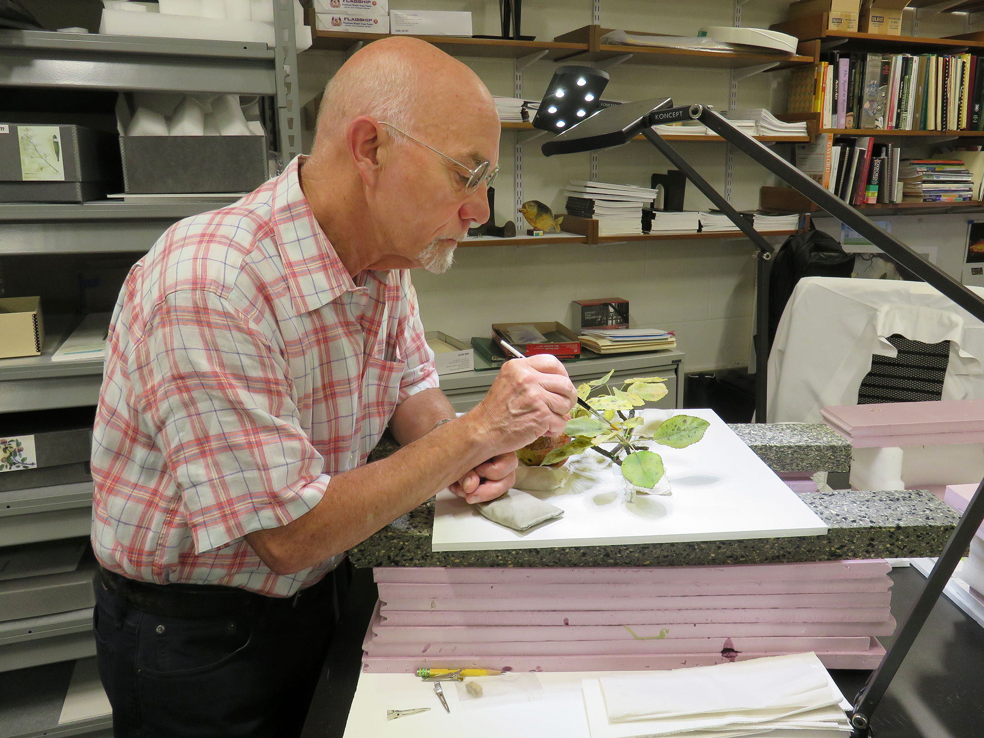 120 Years Later, Harvard's Garden of Glass Flowers Is Still in Bloom