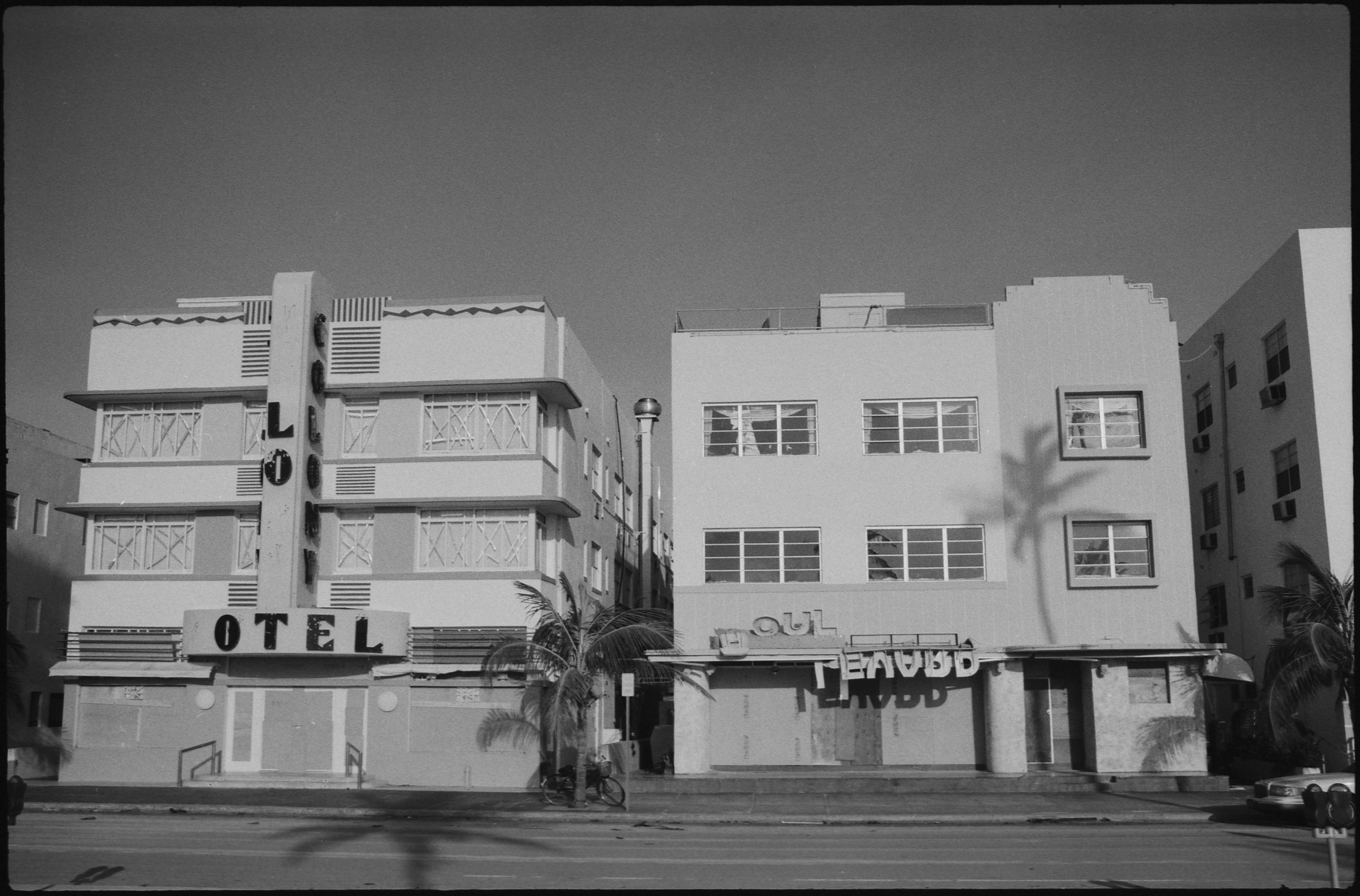 Vintage Miami Beach Photography Nature Photo HD