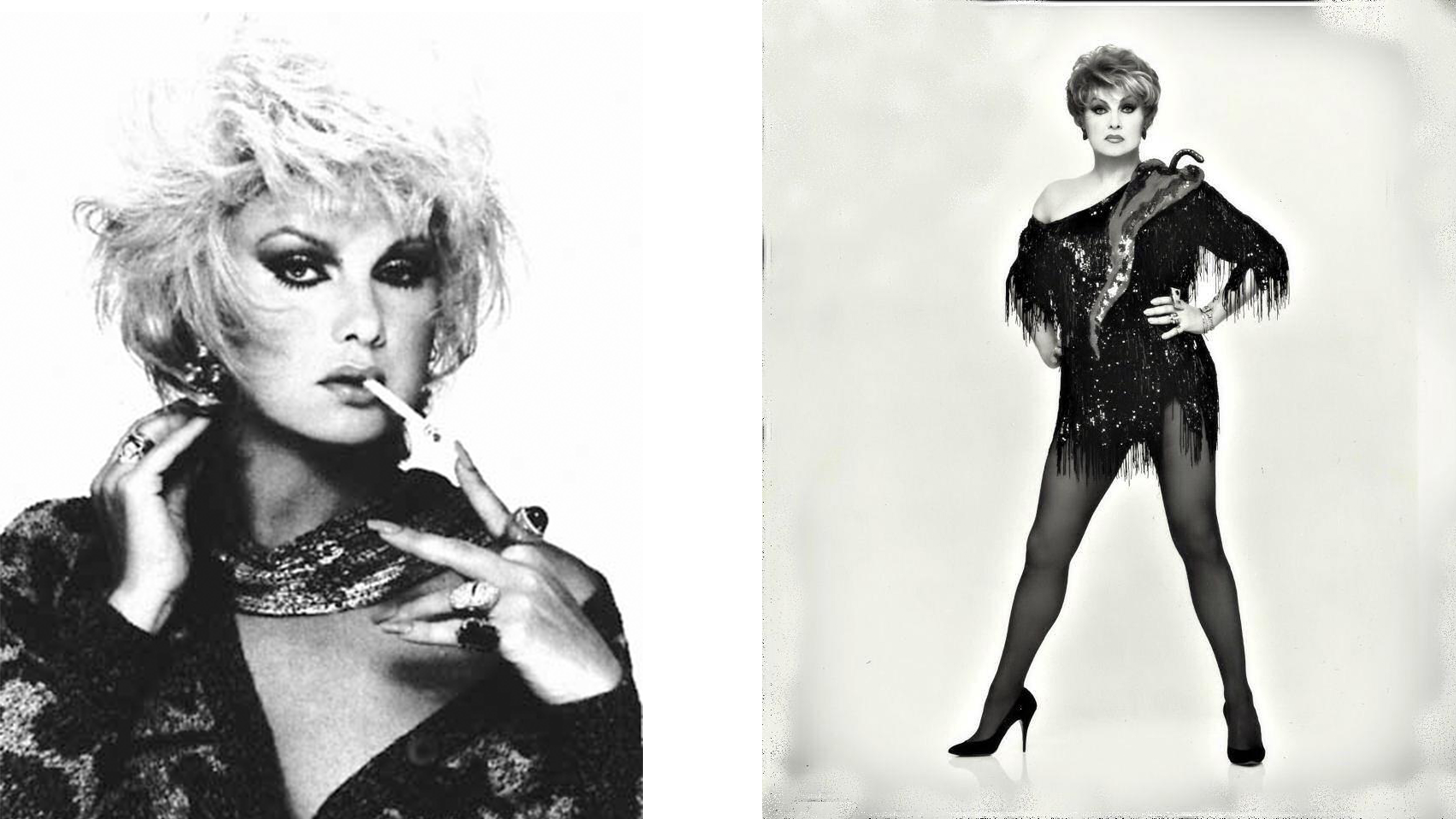 Trans Performer Chilli Pepper What I Learned from Decades of