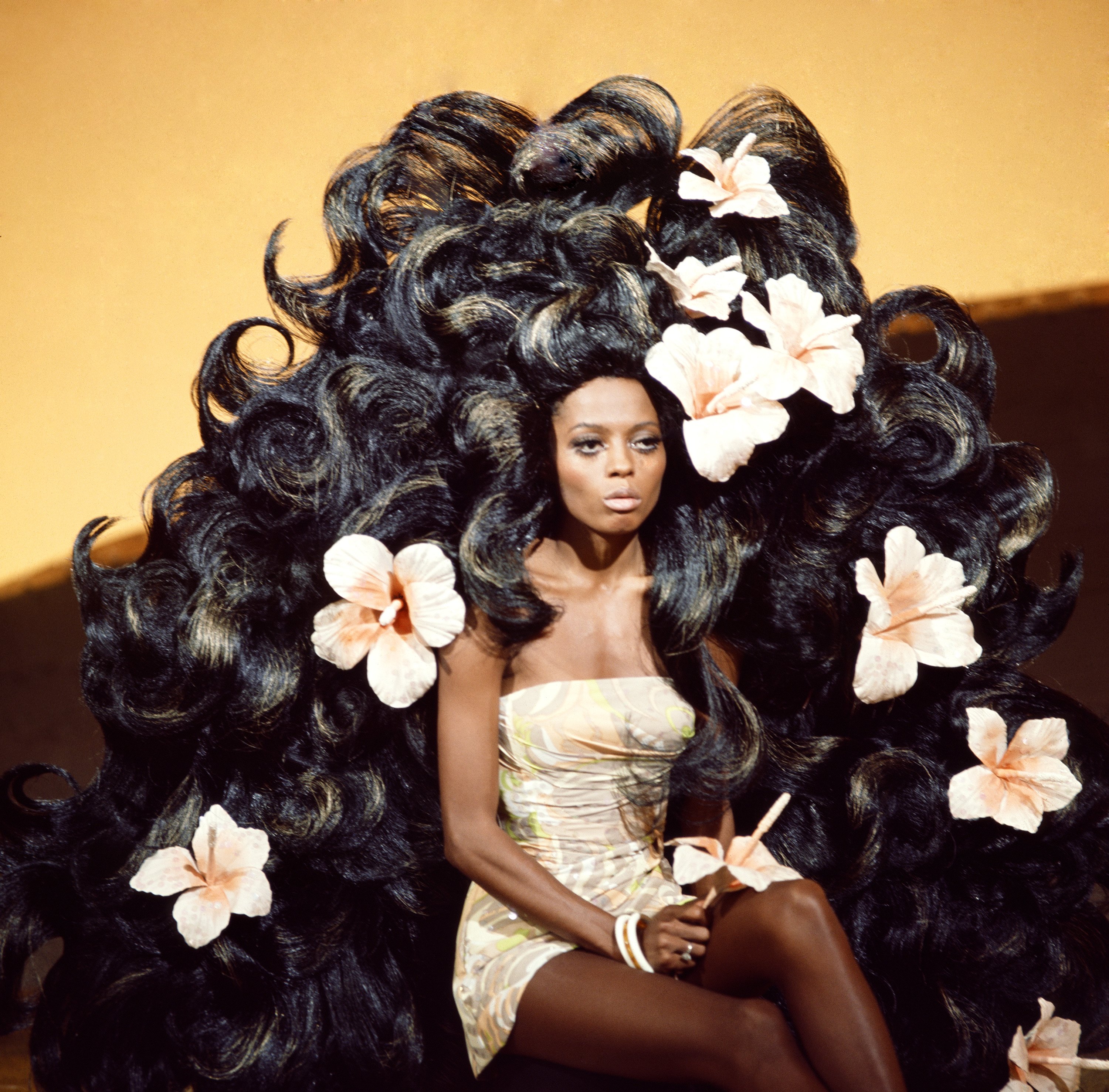 Diana Ross Bob Mackie seeds.yonsei.ac.kr