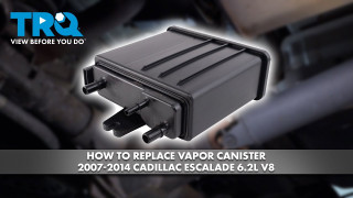 Chevrolet GMC Buick Cadillac Vapor Canister TRQ EVA43173