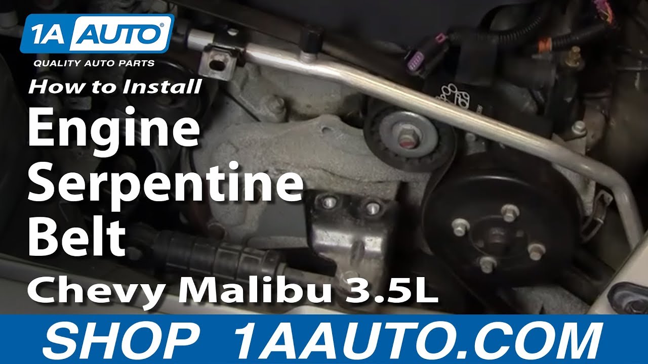 How to Replace Serpentine Belt 0406 Chevy Malibu 1A Auto