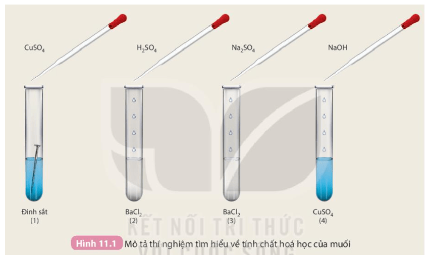 NaOH + BaCl2 Hiện Tượng Phản Ứng, Quan Sát và Ứng Dụng