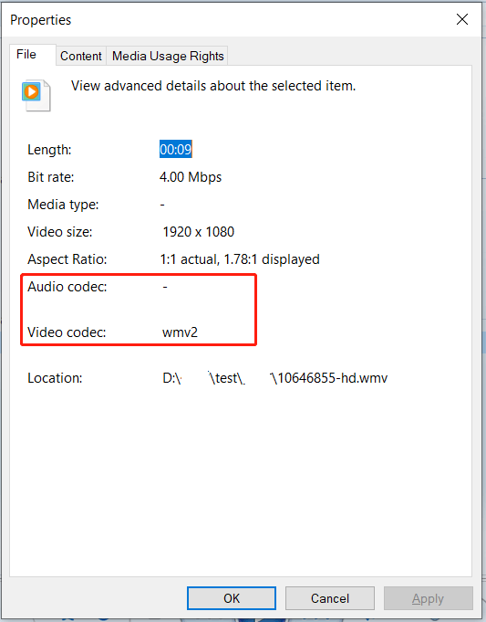 What Are Windows Media Player Codecs in Windows 10/11?
