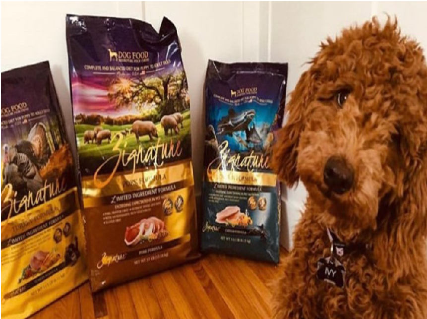 Duck Based Dog Food Vidoe Hippy