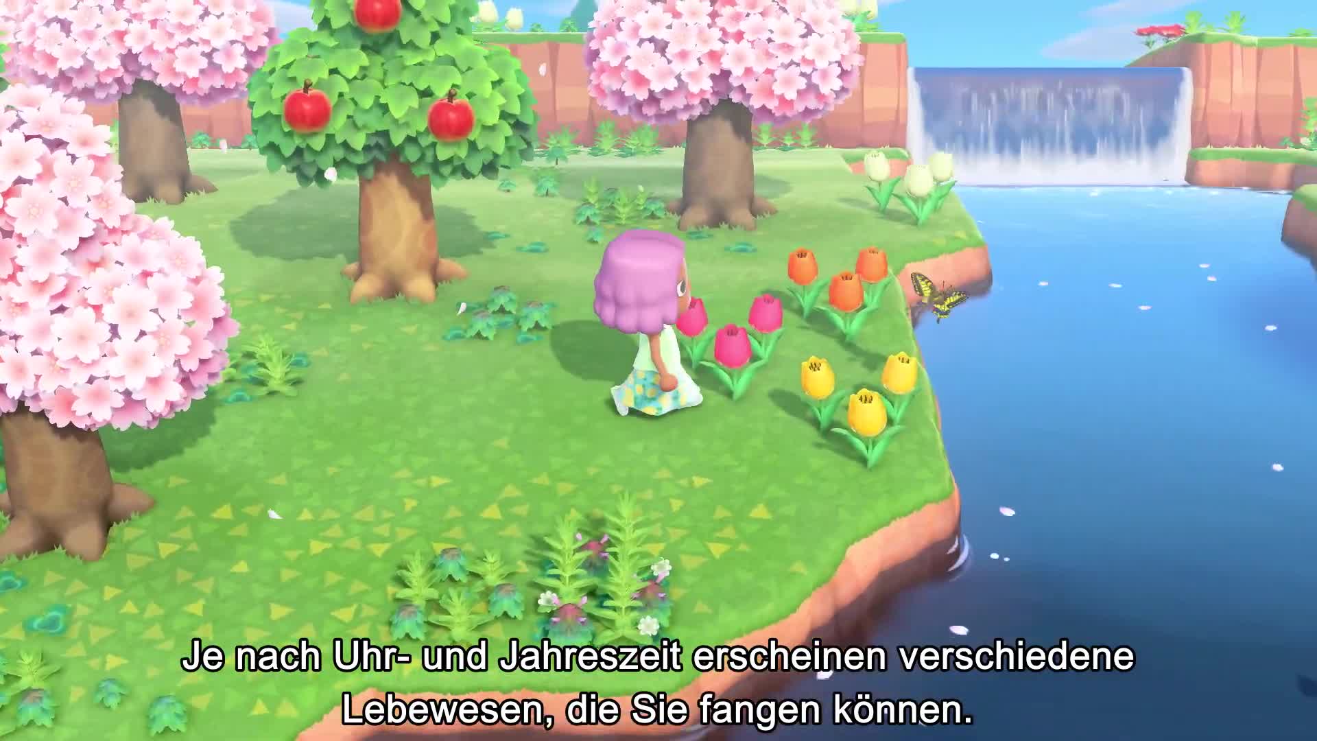 Reif für die Insel Nintendo zeigt „Animal Crossing New Horizons