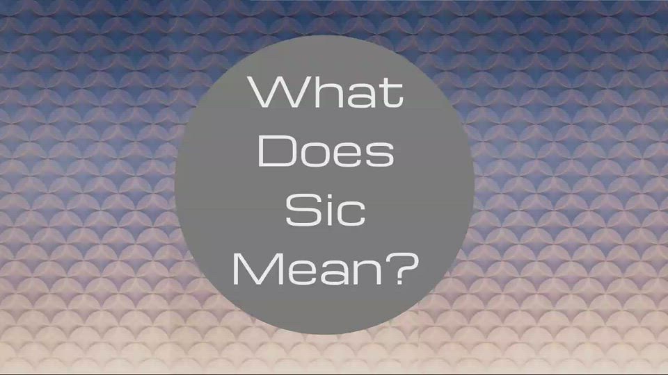 What Does Sic Mean? by Anita Collins on Prezi Video