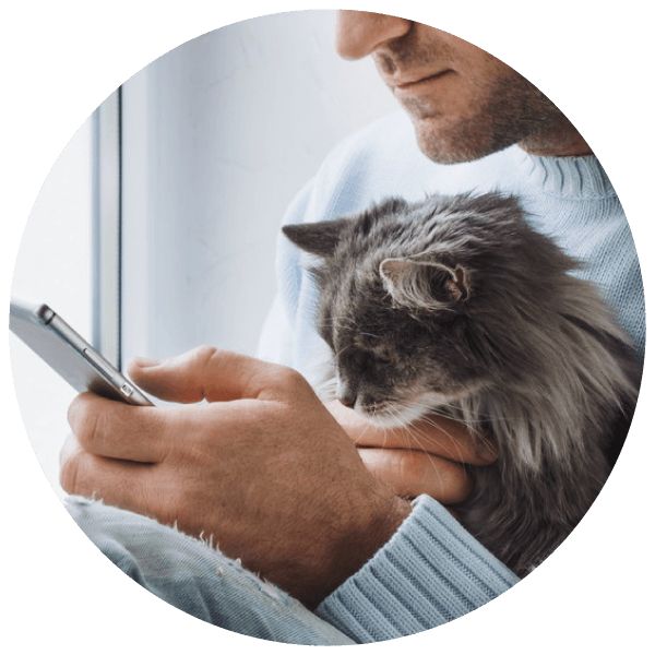 Online Vet Ask a Vet Today Online Veterinarian Virtual Vet