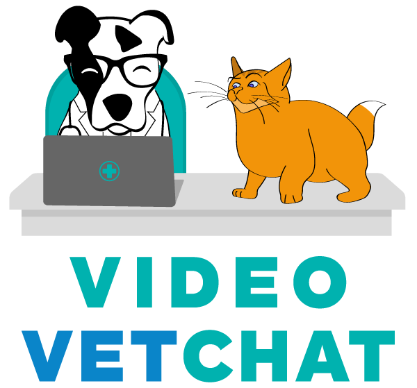 Live Chat Video VetChat