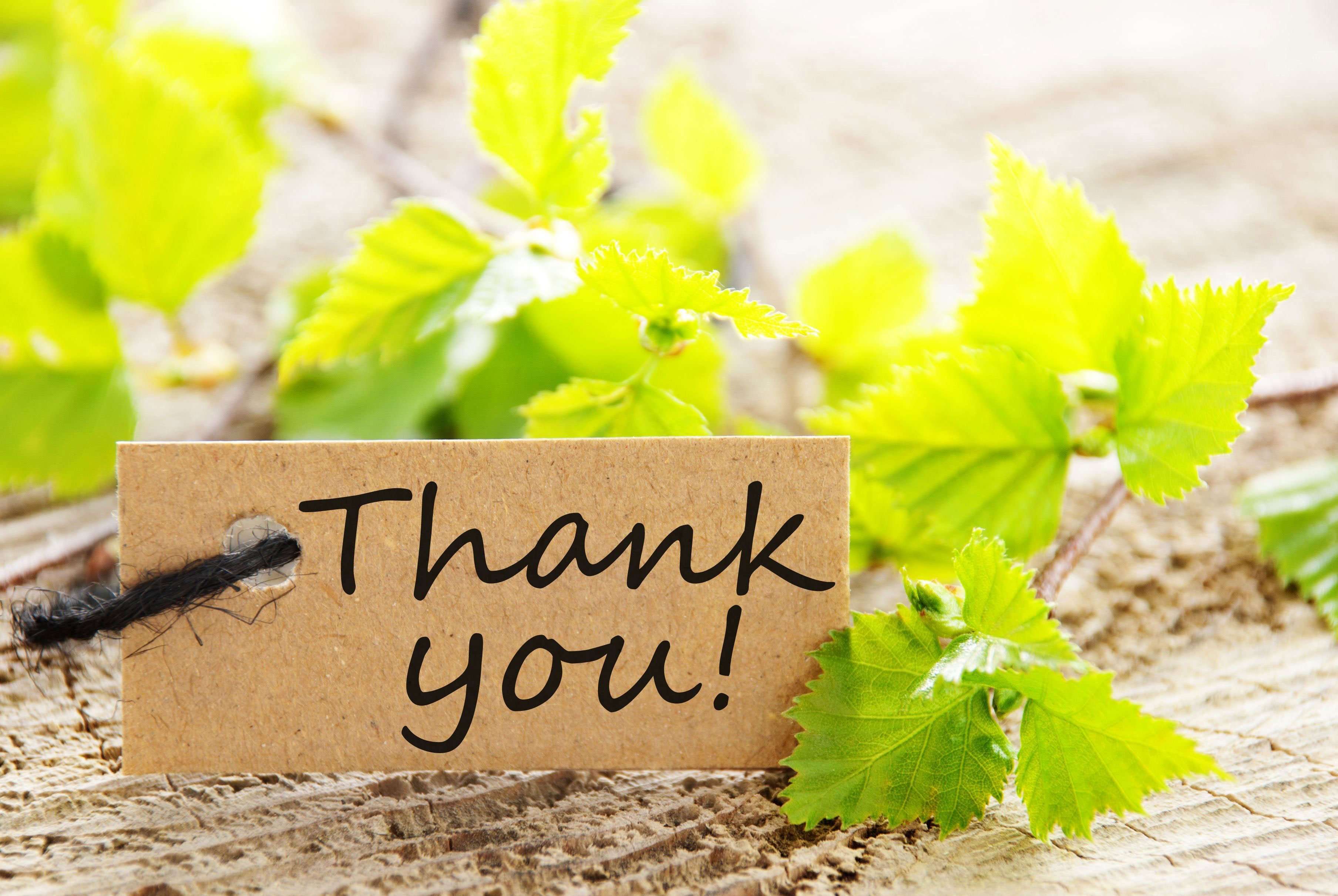 The Power of Positive Thanking Gratitude Vidya Sury, Collecting Smiles