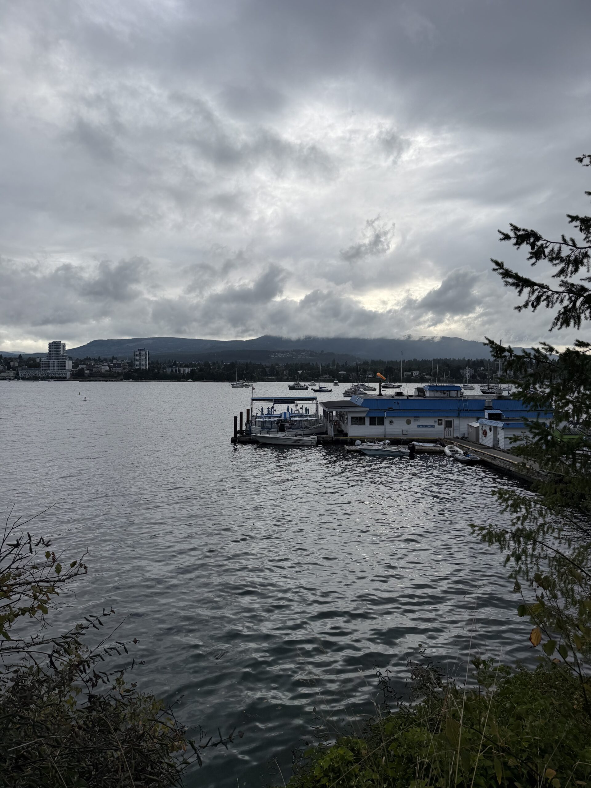IMG 7688