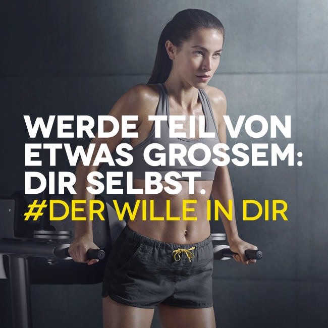McFIT Neues Logo, neues Image > Vielhuber David