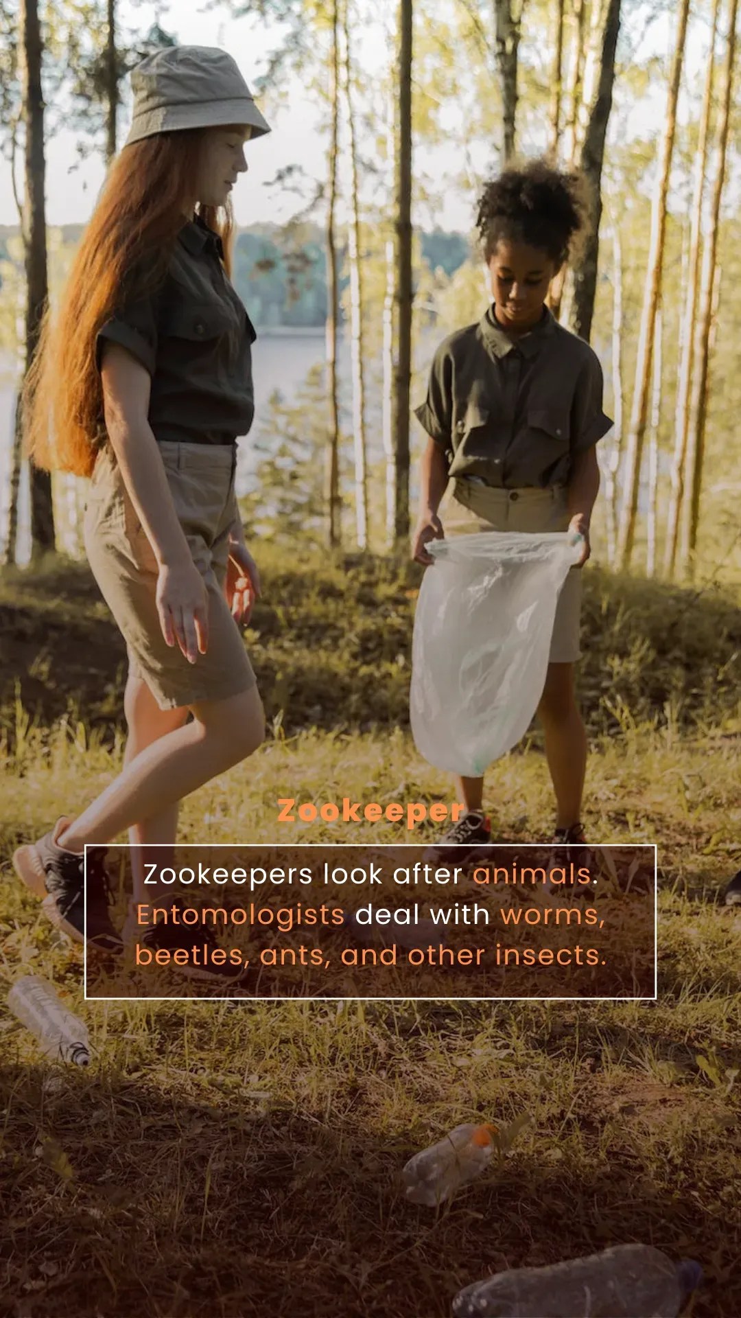 Career opportunities in Entomologist VIESTORIES