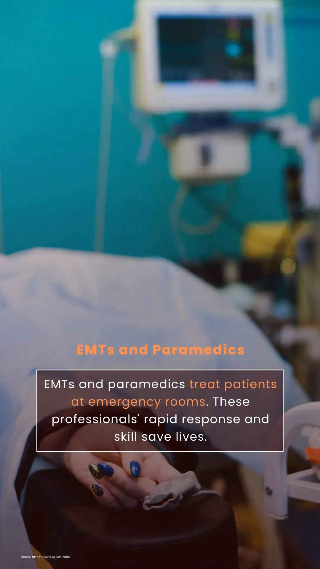 Career opportunities in Entomologist VIESTORIES