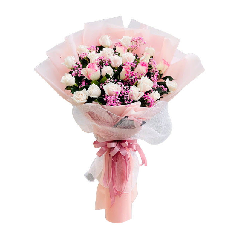 Pink And White Rose Flowers Photos Best Flower Site