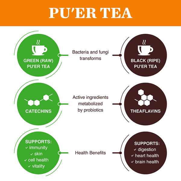Vietnamese Pu erh tea (Trà Phổ Nhĩ) The best tea to buy