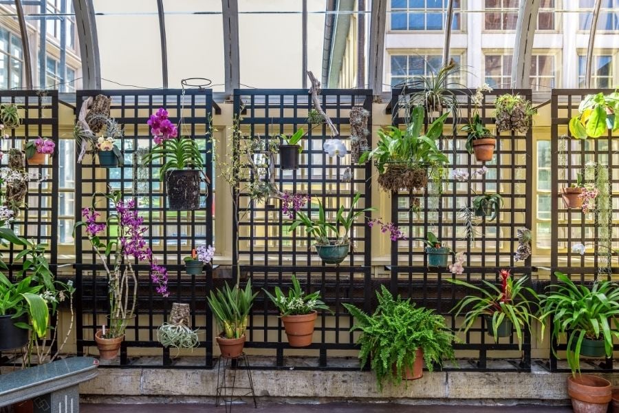 Planter Divider Ideas for You, Your Office, and Even Your Government