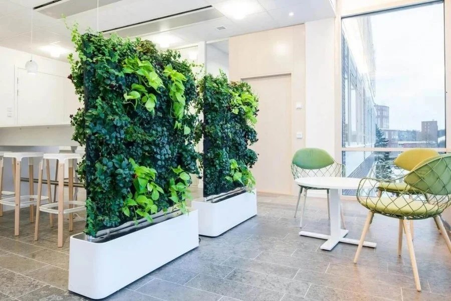 Planter Divider Ideas for You, Your Office, and Even Your Government