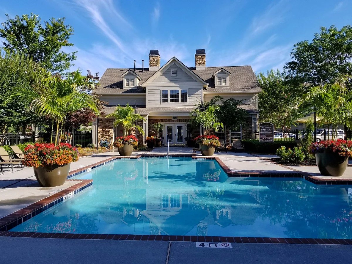 Bigger Pots For Plants In 2023 Are Big Pots Better? Creative Design