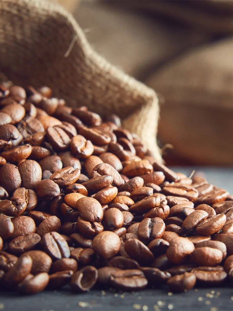 Opportunities for Foreign Investors in Vietnam’s Coffee Industry Viet