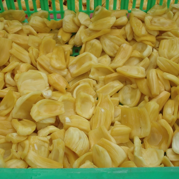 Frozen fruit exporters in Vietnam We produce and supply frozen fruits