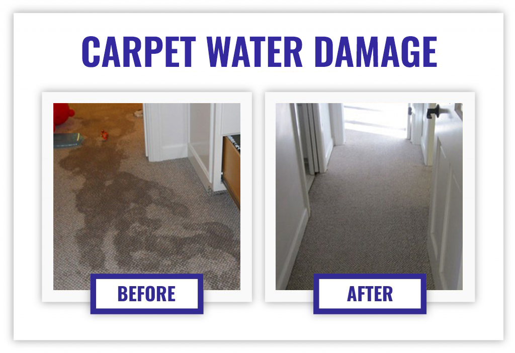 Carpet Water Damage Advanced Carpet Restoration