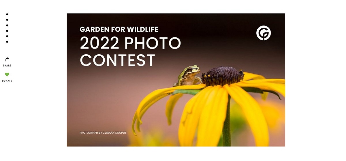 Top 10 Nature Photo Contests to Enter in 2023