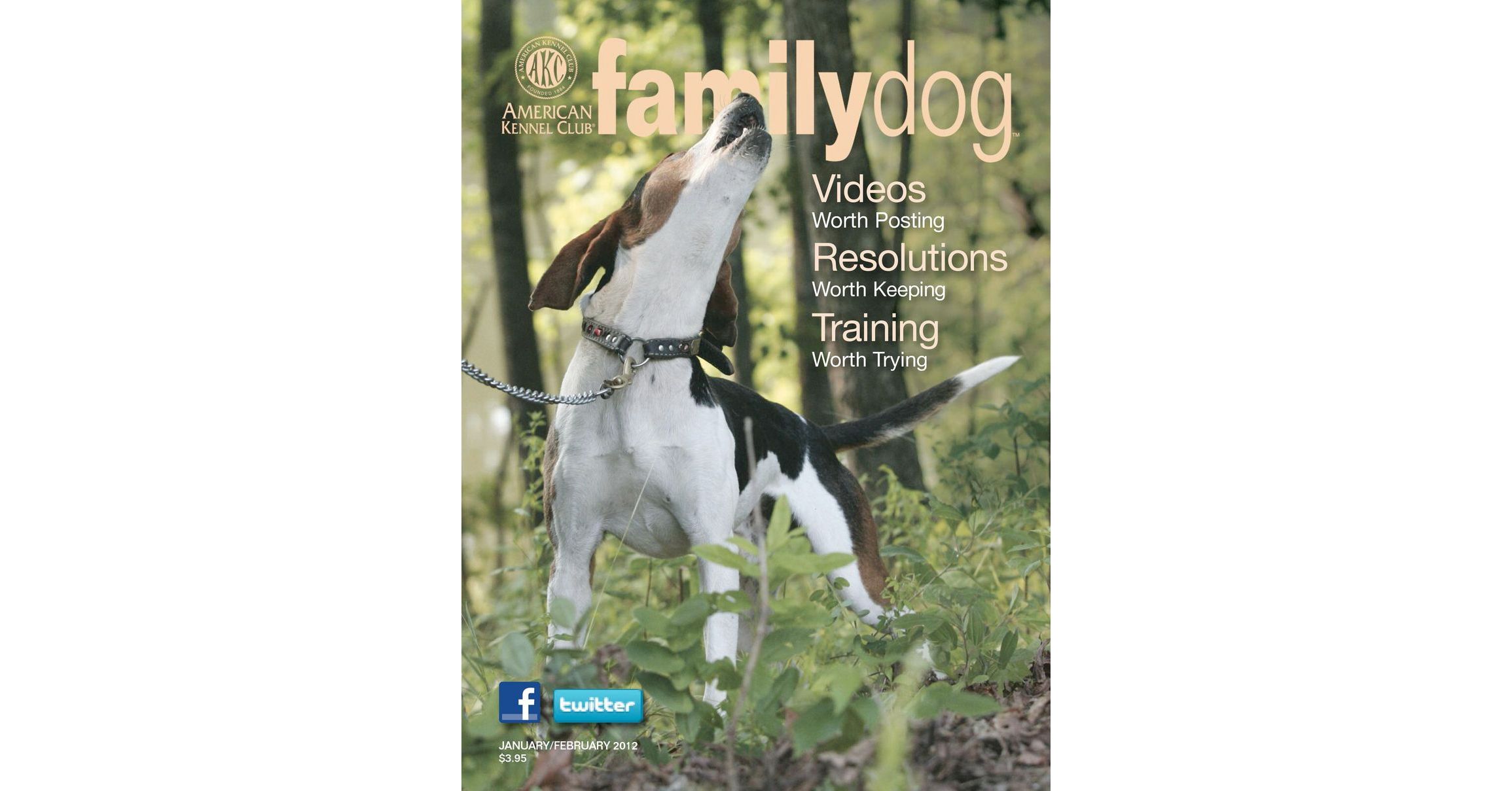 Family Dog Magazine JanuaryFebruary 2012