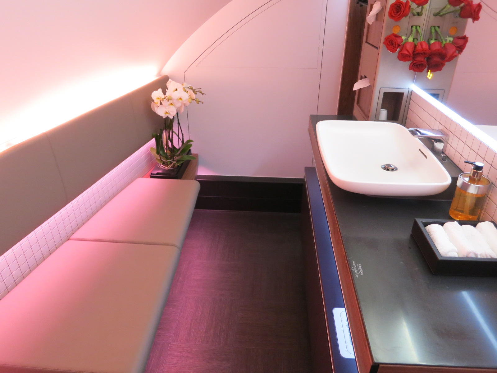 Should Coach Passengers Use the First Class Lavatory? View from the Wing